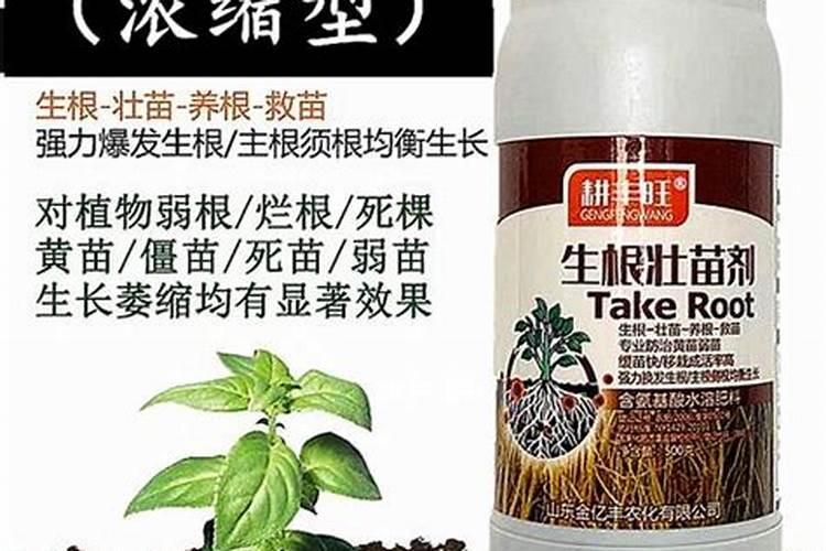 生根粉可以浇花吗