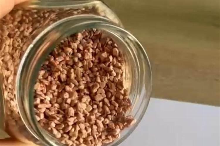 蟹爪兰什么时候施肥施什么肥好