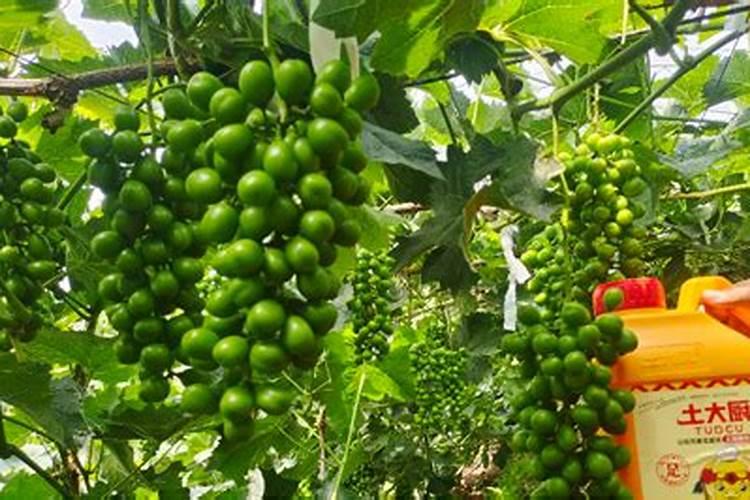 水溶性树脂都有什么