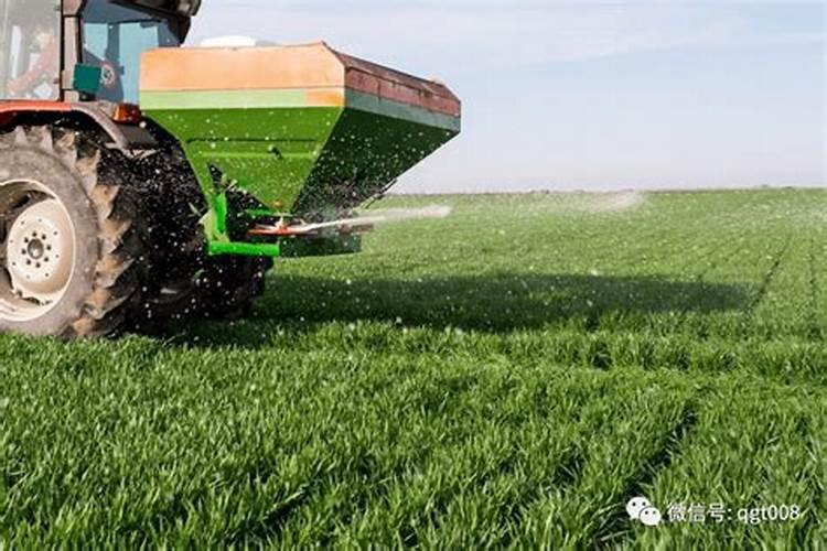 玉米绿壮叶面肥1000克多少钱一瓶