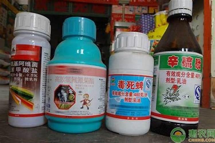 初三研究性学习:调查化肥和农药的利和弊