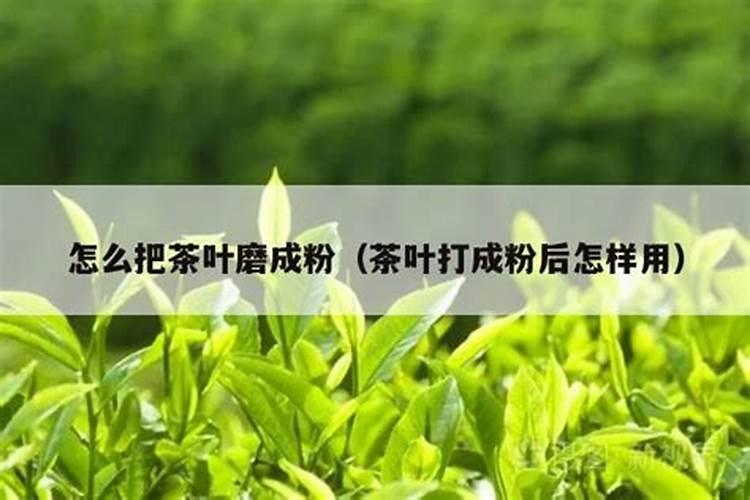 草莓叶子太茂盛要不剪掉一些？