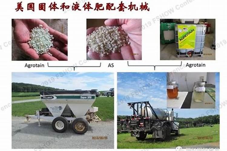 玉米怎样施氮肥才高产