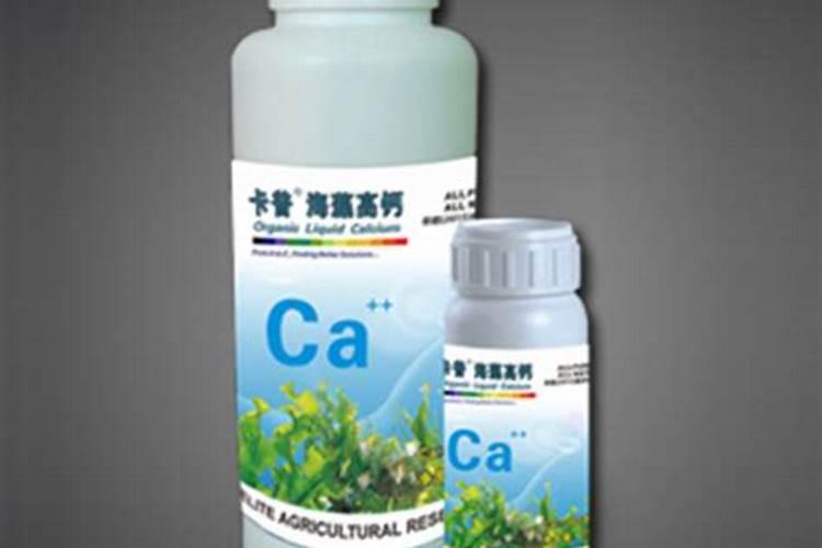 永灵健高钙海藻粉是真的吗