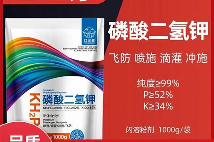 小果树施什么肥长的快