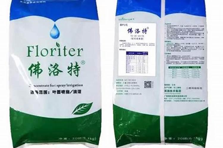 夏威夷竹叶子尖枯萎是怎么回事？