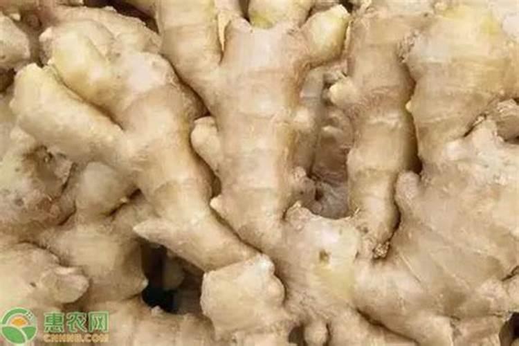 车用尿素可以给植物施肥吗 车用尿素能用在农作物上面做肥料吗