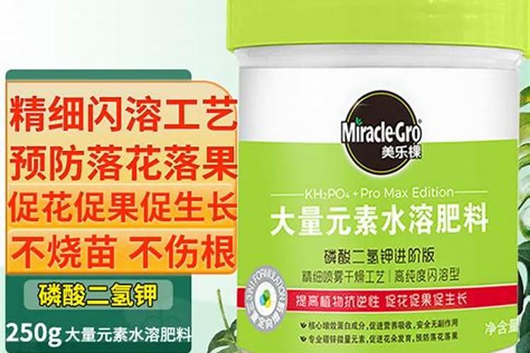 无锡最大的蔬菜批发市场