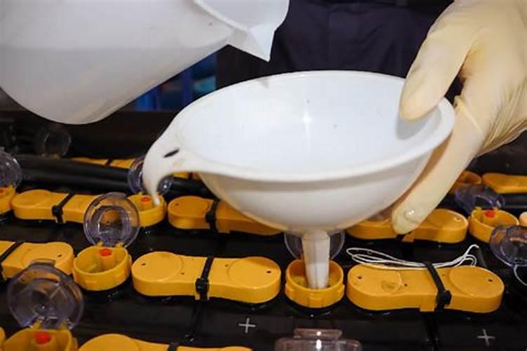 绿陇生物是大品牌吗