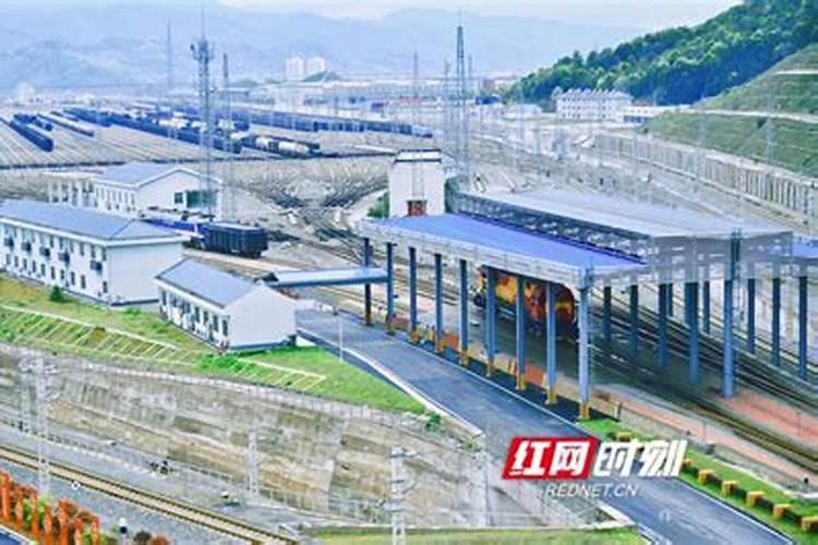 黄花是什么意思