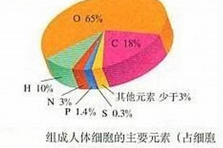 海葡萄产地在哪里 海葡萄多少钱一斤