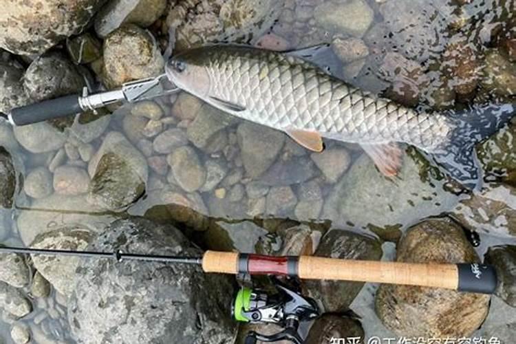 一亩地用多少硼肥