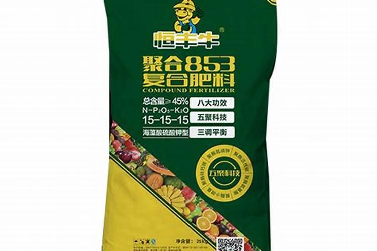 洋丰集团的发展历程