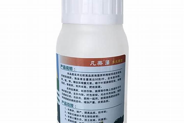 火龙果能不能放复合肥