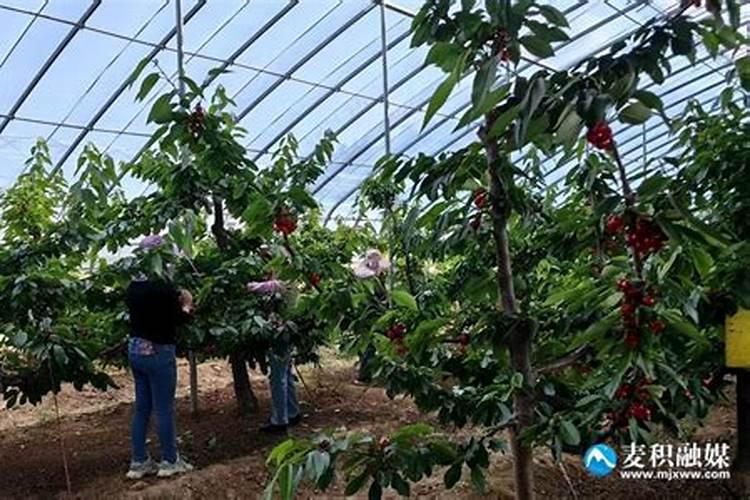 复合化肥复混肥料新标准解读