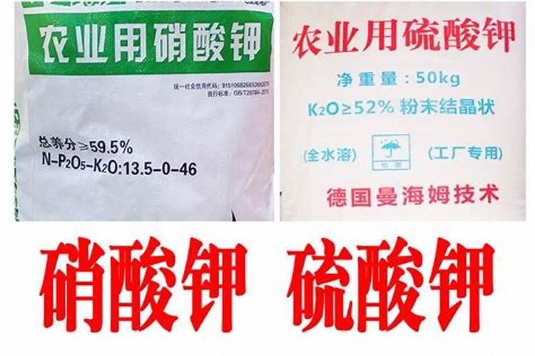 硼肥是什么肥料