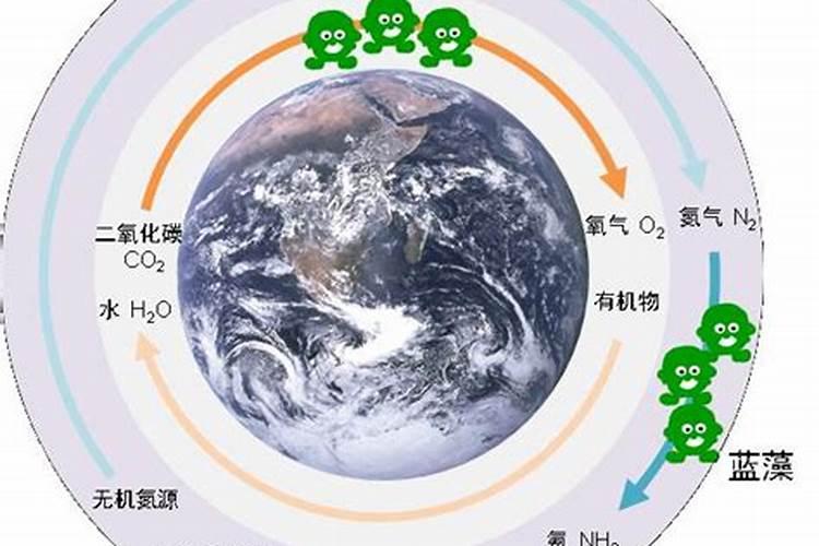 分析爆发蓝藻的原因蓝藻爆发的成因