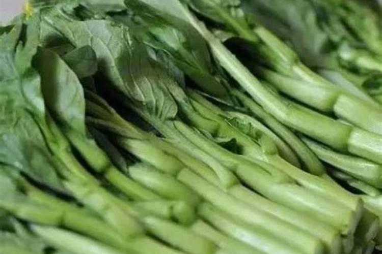 青菜施肥了几天后可以吃