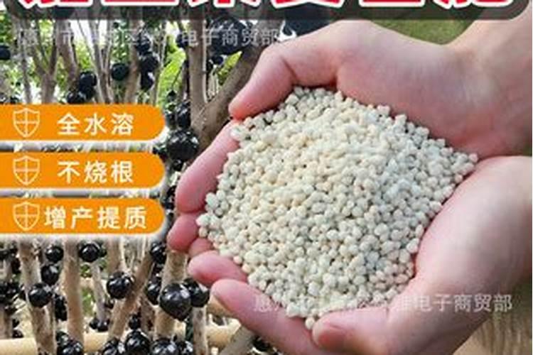 烂西红柿发酵多久能做肥料