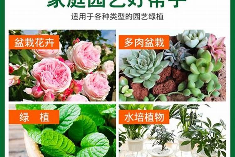 降钾药物有哪些