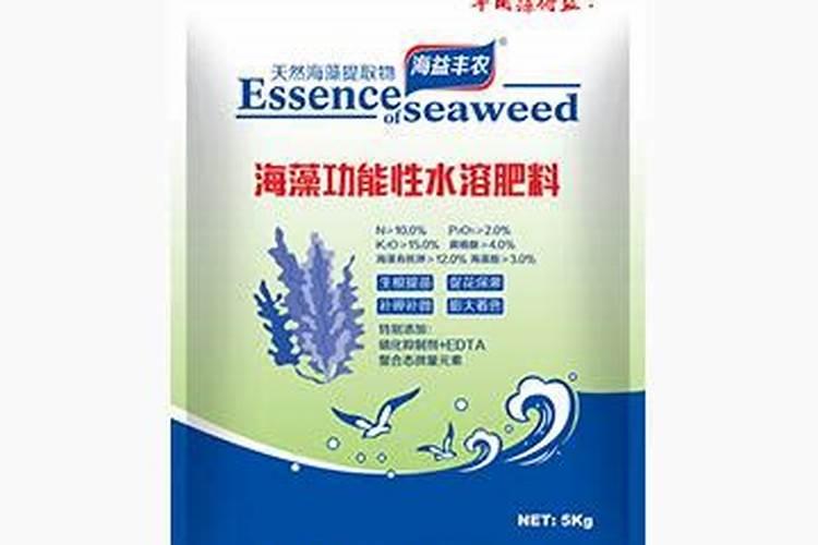 白掌换盆后多久浇水