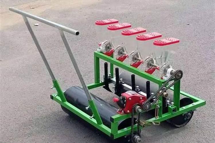 磷肥的最佳使用时间