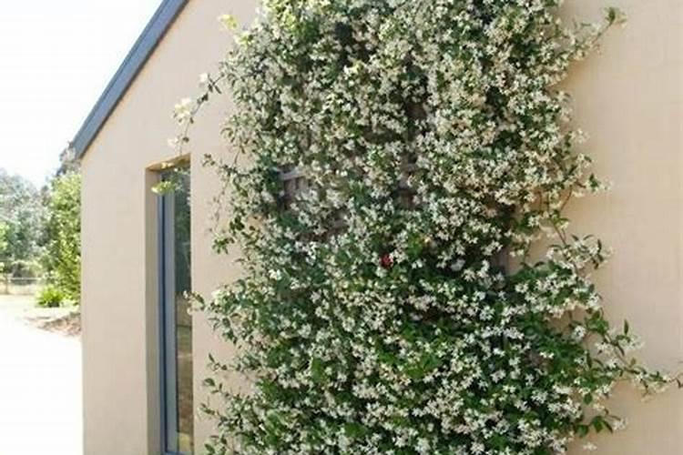 制造硝酸和化肥的原料是什么