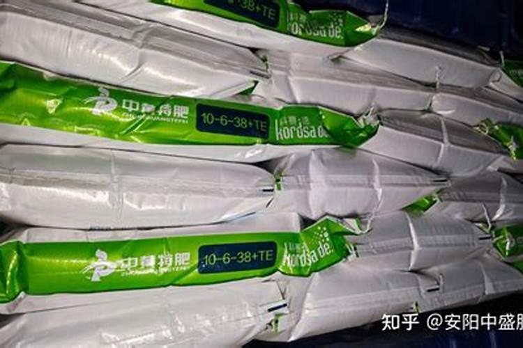 为什么豆类植物不需要施氮肥