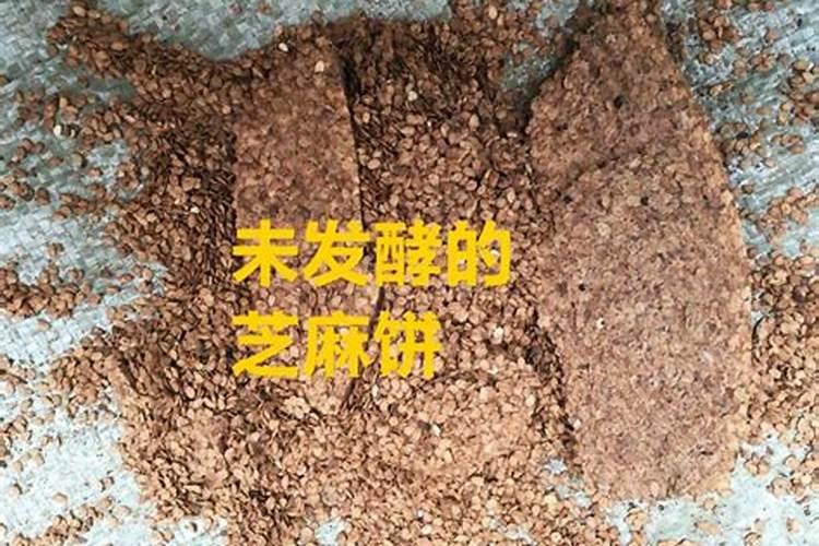 西红柿打什么叶面肥好