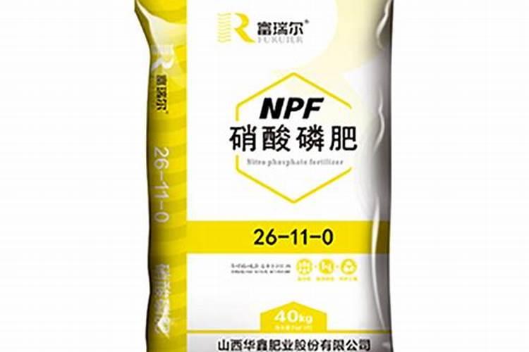 肉桂种子育苗方法