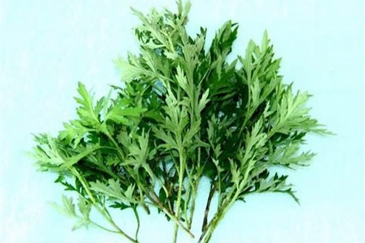 纯硫基复合肥料施蓝莓好吗？