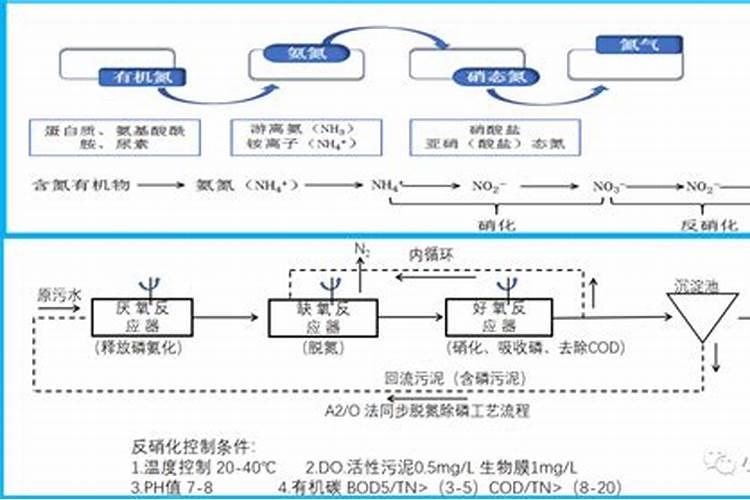 羊粪做叶面肥的配方