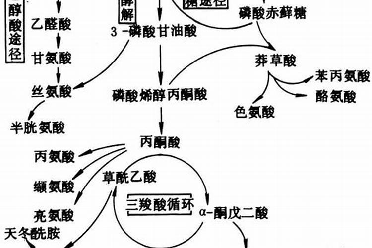 酵母发酵浓缩液干燥粉能在果树上用吗？