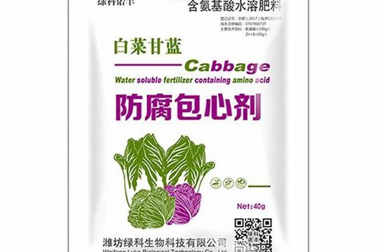 秋冬季种植蔬菜的技巧与氨基酸肥料的应用