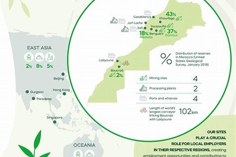 非洲堇的养殖方法和注意事项