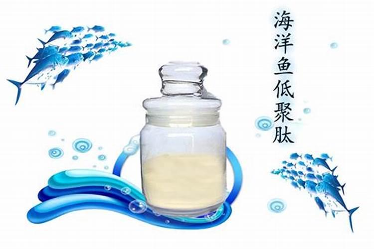 什么是鱼蛋白肥料,鱼蛋白肥料作用及使用方法