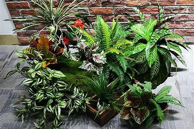 花草什么时候施肥最好 花草施肥时间