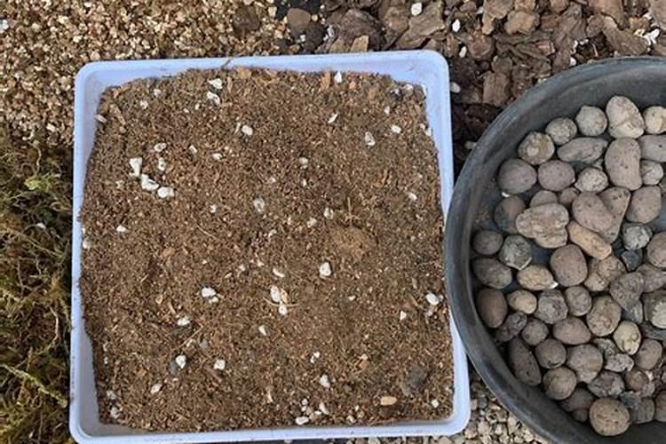 南瓜需要施什么肥