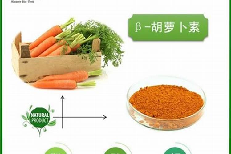 什么大植物好养耐阴 可家养的十八种木本绿植