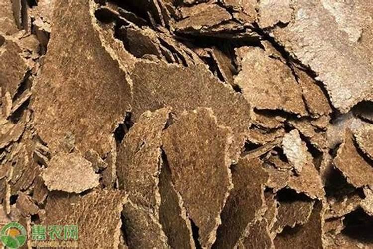 葡萄树缺氮症状与防治措施是什么？