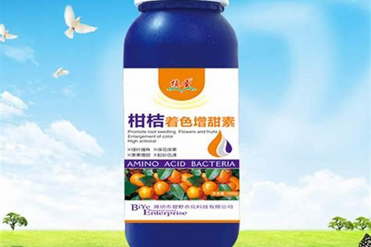 柑橘如何增甜