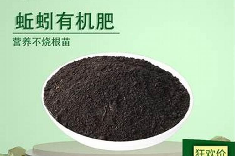 蚯蚓粪可以直接使用吗