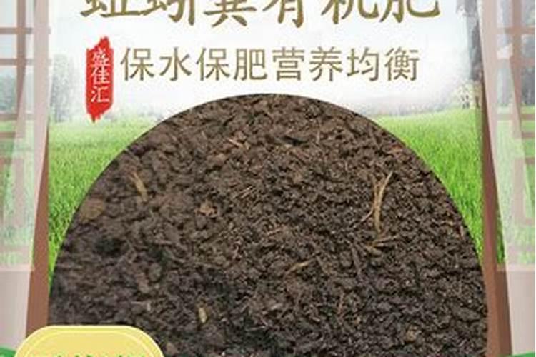 绿萝长疯了绿萝盆土里浇点这个水