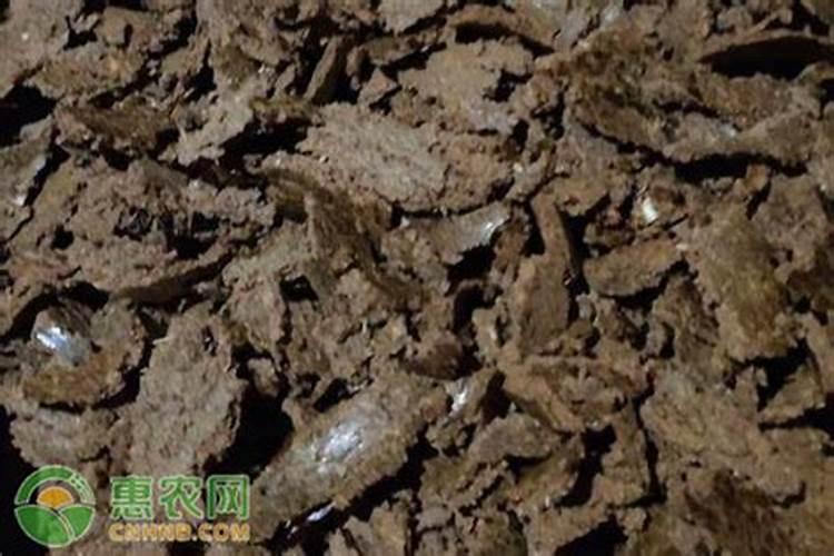 农作物肥料在什么时间最好