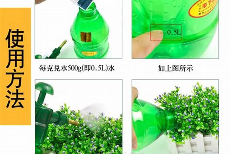 葡萄苗生根粉的正确使用方法