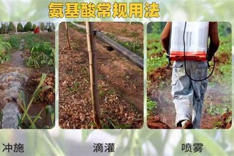 叶面肥喷多了有害处吗