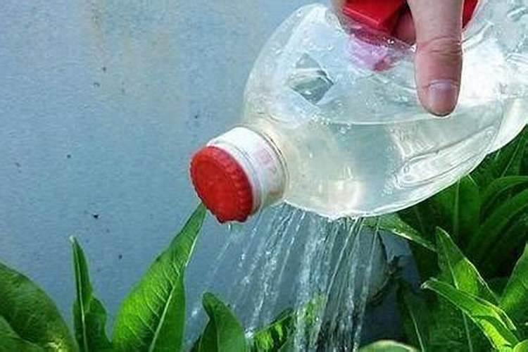 复合肥高塔造粒和喷浆造粒有什么区别