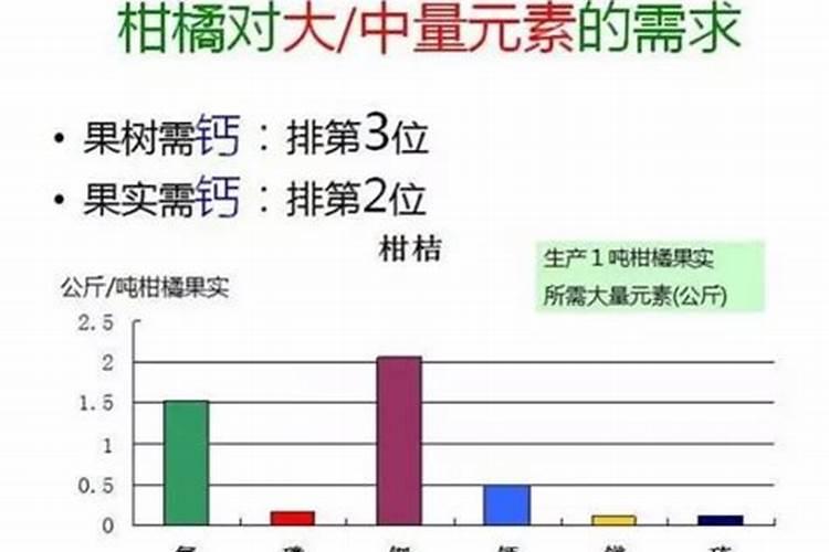 果树缺钙用什么肥料最适合