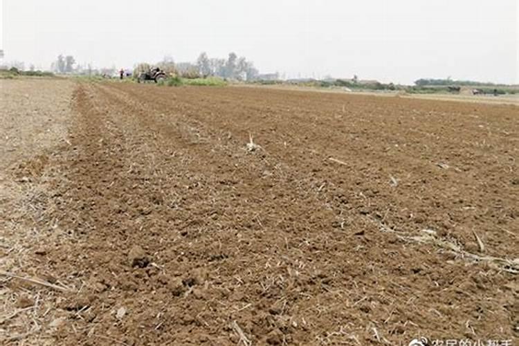 旱地小麦施肥时氮磷钾肥应如何配合施用？