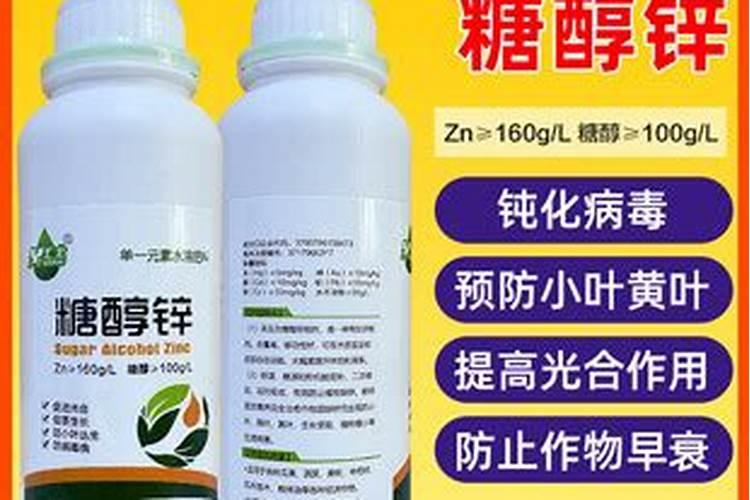 桔子什么时候成熟